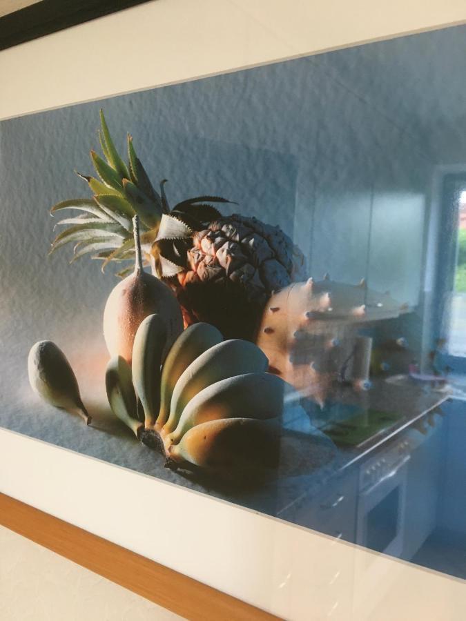Apartmán Haus Rose Ribnitz-Damgarten Exteriér fotografie