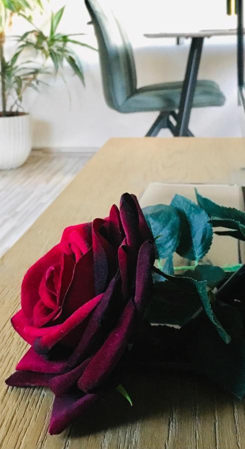 Apartmán Haus Rose Ribnitz-Damgarten Exteriér fotografie