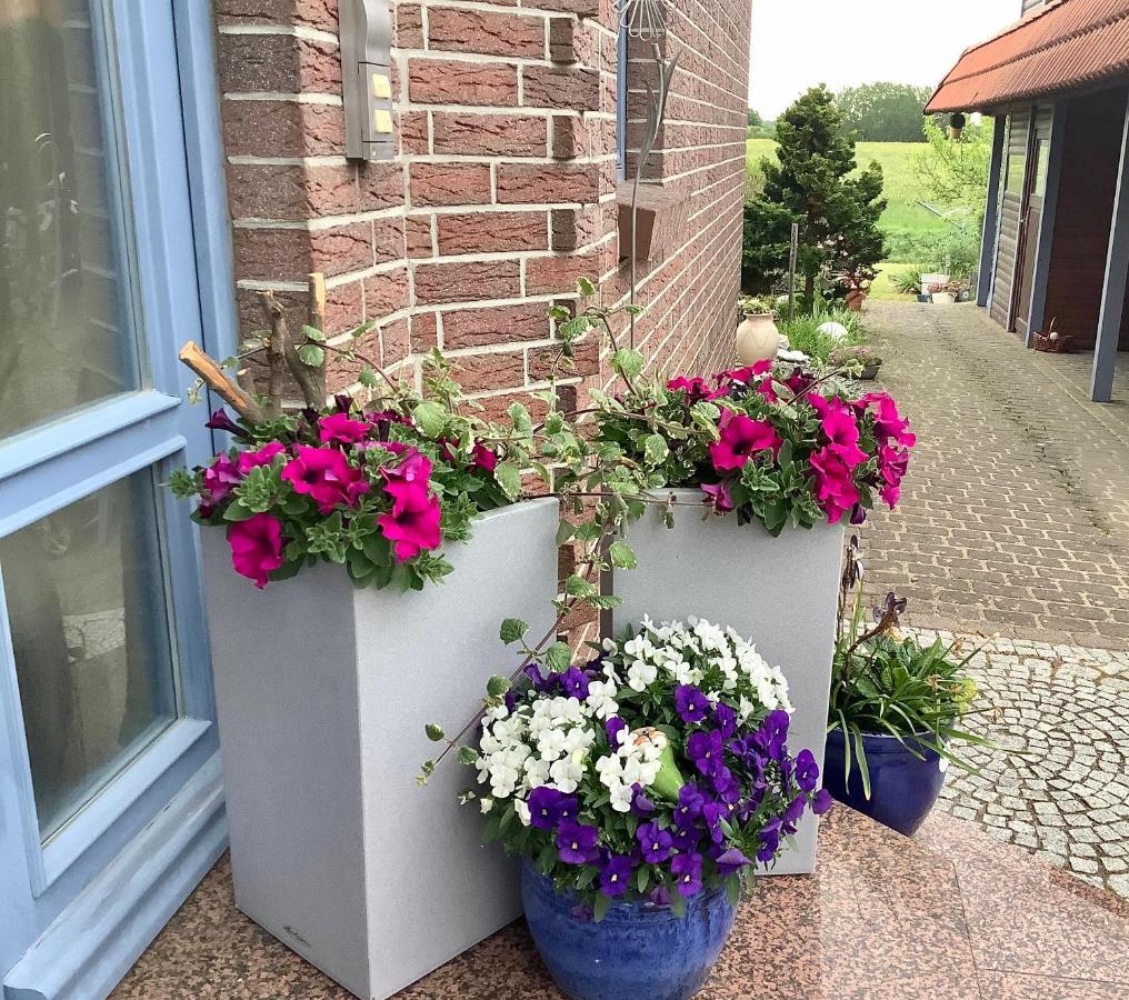 Apartmán Haus Rose Ribnitz-Damgarten Exteriér fotografie